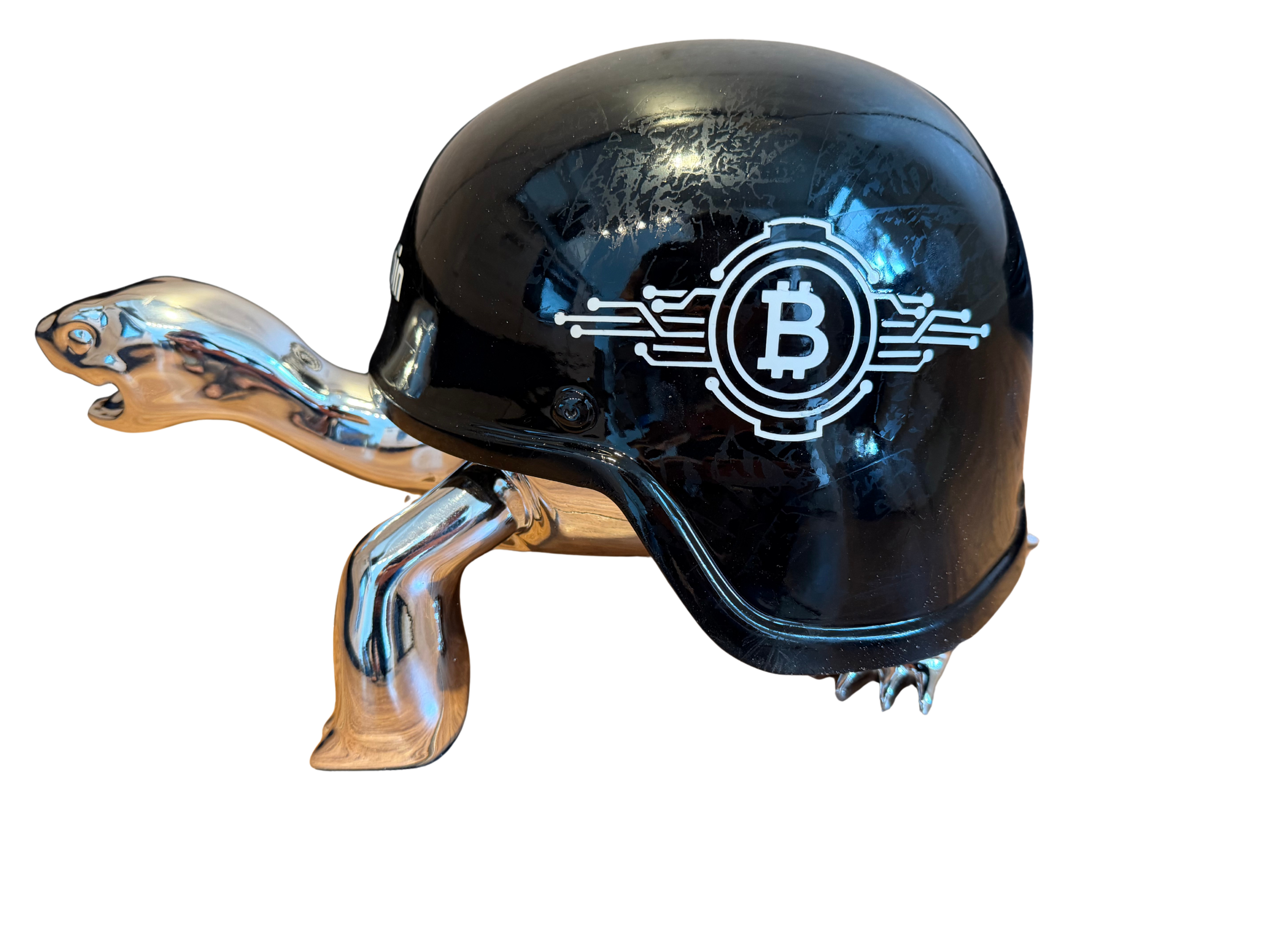 Bitcoin Turtle (45cm)